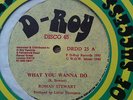 WHAT YOU WANT TO DO/ ROCKERS DELIGHT - ROMAN STEWART - ROOTS REGGAE - ??