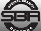 Special Branch Records: Jungle / D&B Vinyl Pack (93-97) - Free UK P&P - Listed