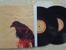 DEATH CAB FOR CUTIE TRANSATLANTICISM 2xLP Rare Vinyl on Sonic Boom Narrow Stairs