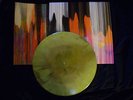 The Flaming Lips with Yoko Ono/Plastic Ono Band 12