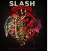 SLASH Apocalyptic Love 2 LP Guns N Roses NEW Sealed Red/White COLORED