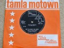THE ISLEY BROTHERS got to have you back (TMG 606) ex+ TAMLA MOTOWN 1966 7