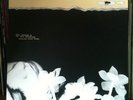 Hope Sandoval & The Warm Inventions - Bavarian Fruit Bread