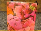 STILL LIFE 1971 VERTIGO 2003 AKARMA LONG OUT OF PRINT NEAR MINT IN SHRINK