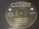 BUSH CHEMISTS - EARTH ROCKER / COLLIE WEED 12