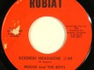 MOUSE & The BOYS '60s psych garage punk 45 on RUBIAT “Xcedrin Headache #69” HEAR