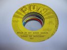 HEAR Garage Rare 45 LOAD OF MISCHIEF Back in My arms Again on Sun
