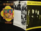 MINT 1967 MONO   THE RAINY DAZE   ACAPULCO GOLD   GARAGE PUNK PSYCH FUZZ COOL