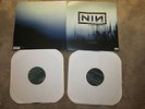 VERY RARE WITH TEETH USA DOUBLE 2X12