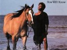 Whitney Houston HOW WILL I KNOW/Thinking About You AUSTRALIAN 7'' Limited Vinyl