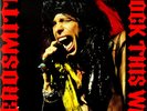 DLP Aerosmith Rock This Way / professionell gereinigt