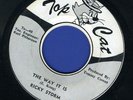 2012 RICKY STORM-THE WAY IT IS-TOP CAT   REGGAE 45 7