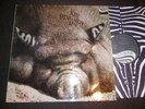 KIN PING MEH - No. 2 orig. ZEBRA KRAUT PROG MONSTER