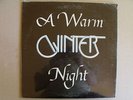 Winter  (A Warm Winter Night) NM  Berkeley Independent Label