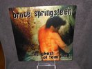 BRIUCE SPRINGSTEEN Ghost Of Tom Joad