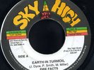 Fire Facts - Earth In Turmoil JA orig 7