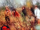 PROG LP 42 - SPOOKY TOOTH - IT'S ALL ABOUT - (Pink) Island UK 1968 - VG+