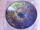 RAGE XIII Picture-Vinyl LP accept running wild grave digger victor smolski