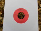 RARE DETROIT NS - NORMA JENKINS & DOLLS - Airplane Song - GOLDEN WORLD - MALTESE