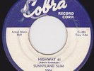 SUNNYLAND SLIM - 