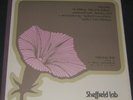 Sheffield Lab Direct To Disc Audiophile LP TAS List Wagner, Leinsdorf NM