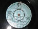 REPARATA AND THE DELRONS SATURDAY NIGHT DIDN'T HAPPEN   7