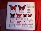 The Jam - The Butterfly Collector, Doppel-LP, Bootleg vom Nov 1979