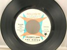 Calamity Jane / Now She's Gone -The Raven - 45 Record 7” Promo – Psych Pop  5123