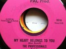 RARE SWEET SOUL ......THE PROFESSIONALS (ACTION PAC)