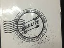 LA DISPUTE WILDLIFE TEST PRESS