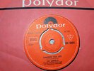 THE CARROLLS - SURRENDER YOUR LOVE - POLYDOR - MINT MINUS