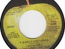 DAVID PEEL & LOWER EAST SIDE F Is Not A Dirty Word (Apple PRO 9598) USA 45 Promo