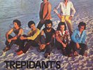 TREPIDANTS MIELE JORGE BEN CASSIANO BANDA BLACK RIO BOOGIE FUNK GROOVE BRAZIL