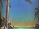 KILLER LP HERMAN CHIN LOY DUB LP # 1 ?