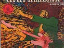 2 LP´s - Jimi Hendrix - In From The Storm - Swingin Pig