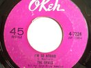 NORTHERN 45-THE OPALS-I'M SO AFRAID /RESTLESS DAYS