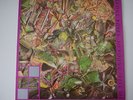 Stone Roses So Young / Tell Me 12