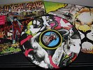 Yeah Yeah Yeah's, Fever To Tell, vinyl