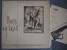 JOE McPHEE and JOHN SNYDER PIECES OF LIGHT LP CJR free jazz electronics