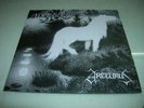 ULVER / ARCTURUS -  7