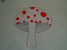 Mushroom Early One Morning The original dated 1973