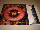 Napalm Death - Inside the torn apart(2LP)/death/morbid angel/sepulura/slayer