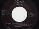 SPARKLE Rarest Mississippi Electro Boogie 7