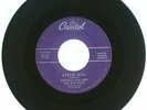 RARE 45 RPM, Norman Fox & The Rob Roys, Capitol Records 4128, VG++, Dream Girl