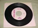 Rare Doowop   The Fairlanes  Baby, Baby  Radiant  Records  45