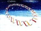 LE ORME - L' INFINITO 2004 raro LP CRISLER ITALIAN PROG EDIZ. LIMITATA S/S