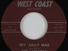 Rockabilly 45 FABULOUS SILVER TONES Hey, Sally Mae WEST COAST HEAR NM