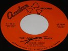 RONNIE COOK 45 GARAGE CRAMPS 