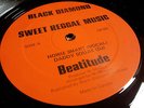 HOWIE SMART - SWEET REGGAE MUSIC // 12