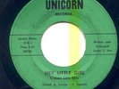 The Hazards- Hey Little Girl & Tinted Green 45 record